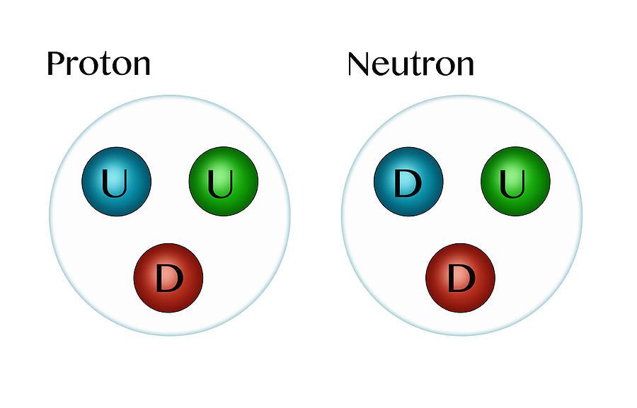 Banner of Journey into the Subatomic World: Understanding the Role of Quarks in Matter
