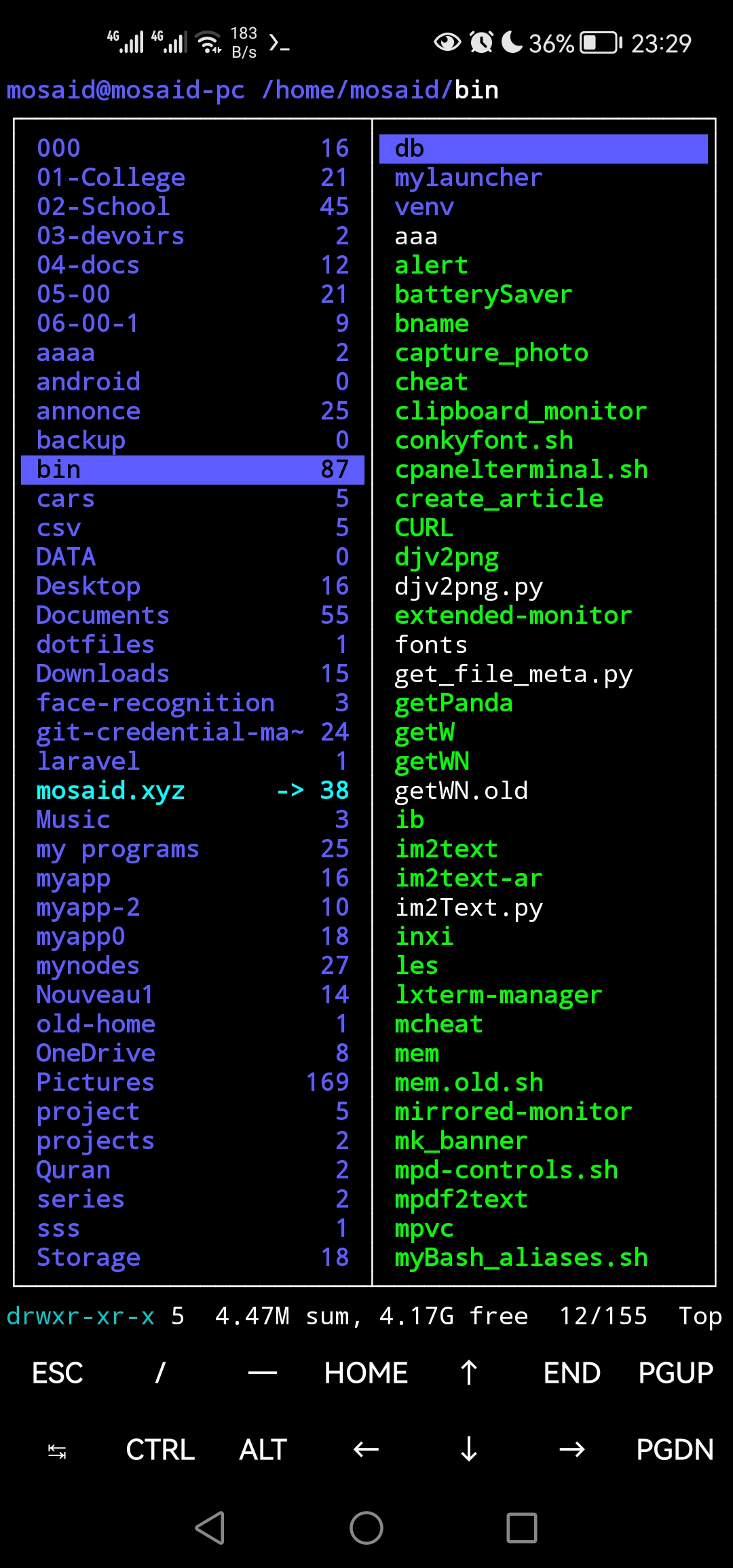 Screenshot ranger file manager