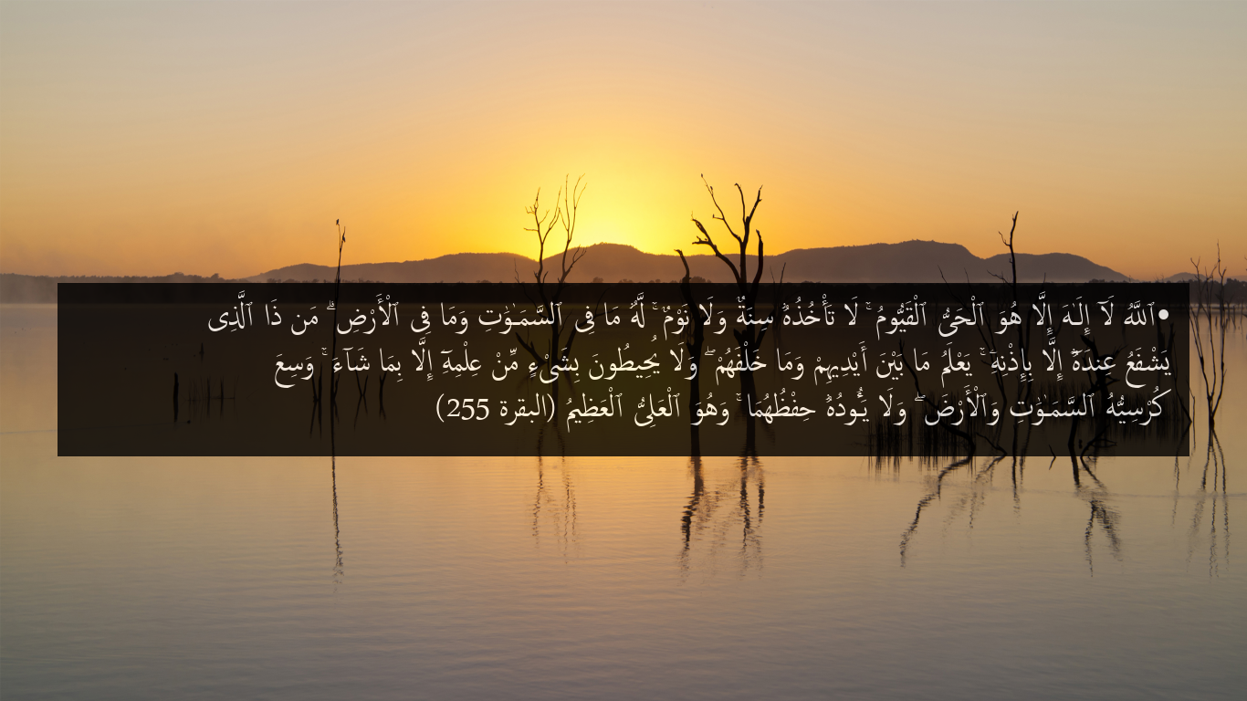 Quran player Screenshot Ayah 255 from surah 2