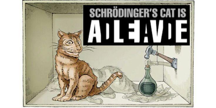 Schrödinger's cat