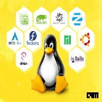 Exploring Linux: A Beginner's Guide to Distributions, DEs, FMs, and Package Managers Thumbnail